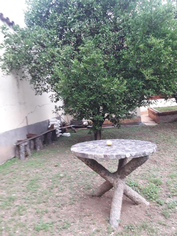 La Casa De Gaby Apartment ซัลตา ภายนอก รูปภาพ